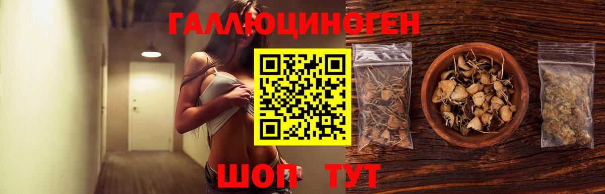 Псилоцибиновые грибы мицелий Свободный